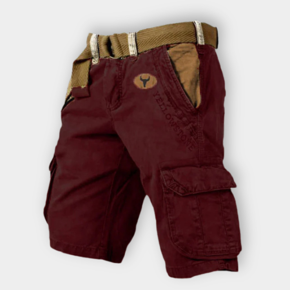 LANDO | Explorer Cargo Shorts" 

If you would like to maintain the same format as "Jennifer | Elegant Dress," it could be translated as:

"LANDO | Explorer Cargo-Shorts
