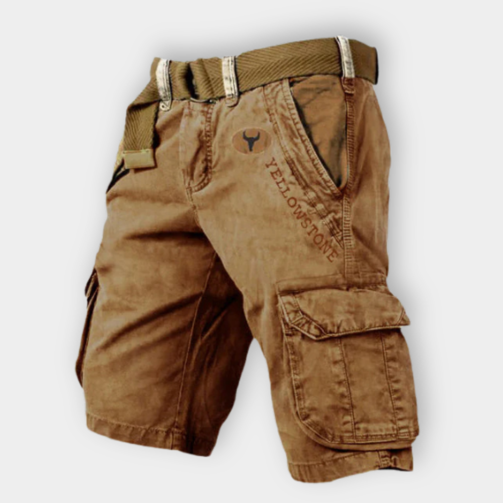 LANDO | Explorer Cargo Shorts" 

If you would like to maintain the same format as "Jennifer | Elegant Dress," it could be translated as:

"LANDO | Explorer Cargo-Shorts