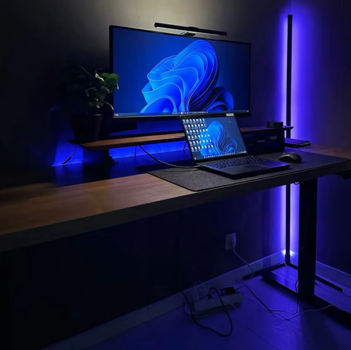 Molida-Lampe™