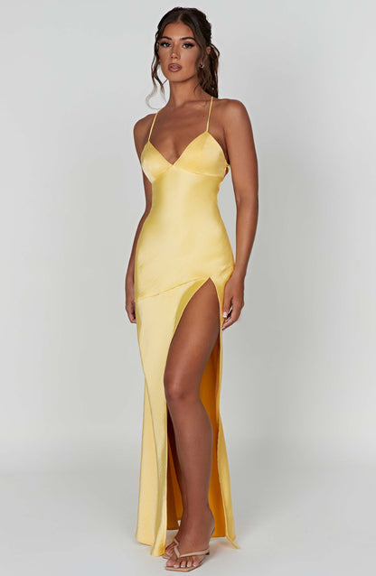 Alexander Saint Maxi Dress | Elegantes Kleid